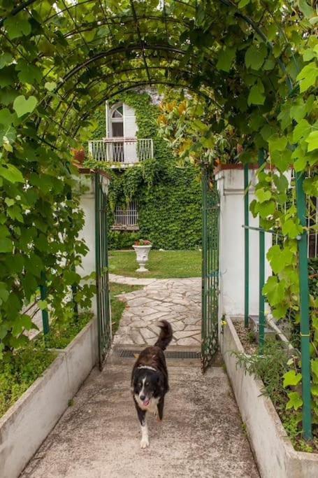 Voltapensieri Daire Battipaglia Dış mekan fotoğraf